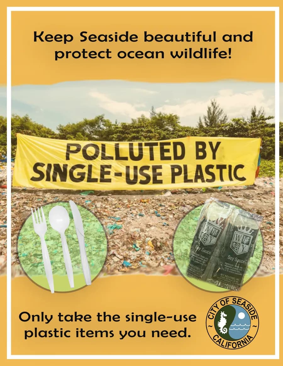 Community Initiative poster and visual identity design